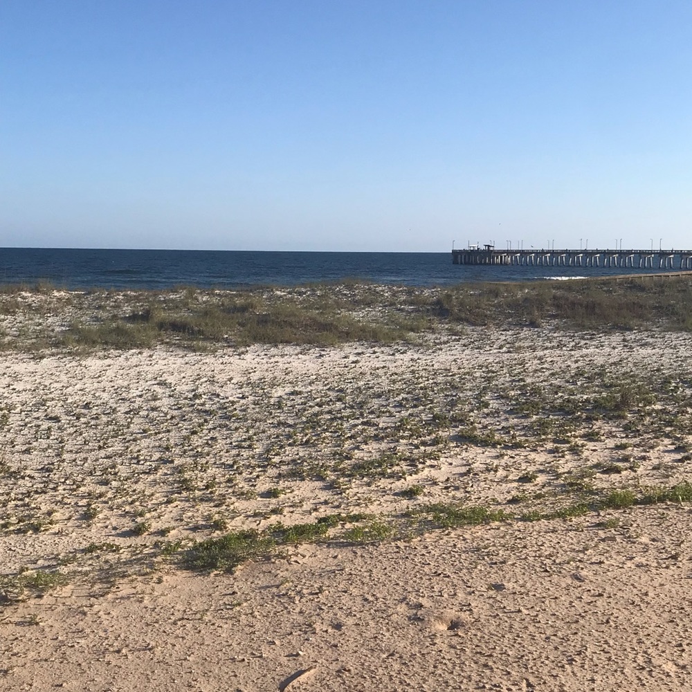 Meet your Posher, Savannah